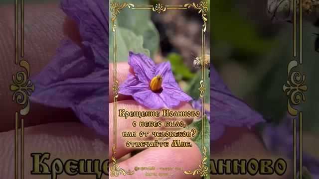 Евангелие дня 8 февраля от Марка 11 глава 27 33 стихи смотреть онлайн