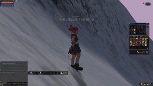 Играть в Lineage 2 на ГЕЙМПАДЕ