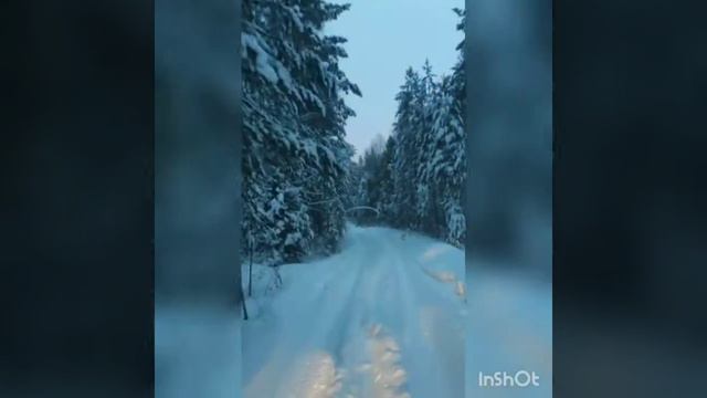 20 февраля 2021 г. смотреть онлайн