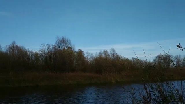 В поддержку Road-To Film. смотреть онлайн