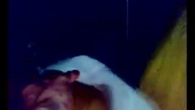 F&D IHOO-IR смотреть онлайн