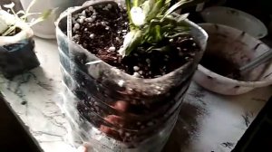 Делаем самодельный горшок для цветов  на 5 литров.