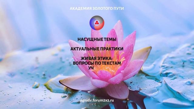 ФОРУМ «САНТАНА» АКАДЕМИИ ЗОЛОТОГО ПУТИ смотреть онлайн