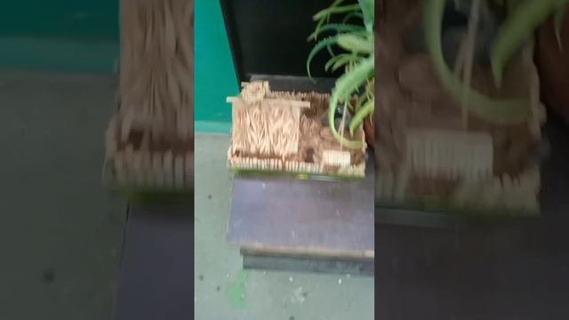 Красота в моем подъезде! А как у вас? смотреть онлайн