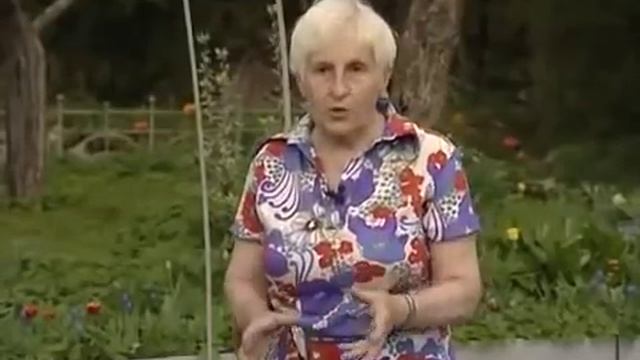 Сад и огород Посадка капусты и свеклы на одну грядку смотреть онлайн