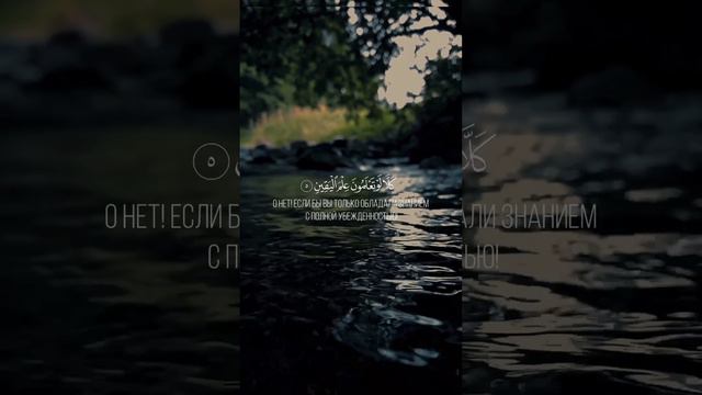 Красивое чтение Корана.Сура 102.«Ат-Такасур»(Приумножение). Чтец - Ерген Кумаров. смотреть онлайн
