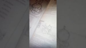 Установка фазы газораспределения иаеко курсор13