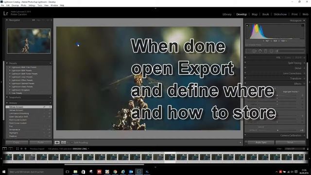 from DNG to MPEG смотреть онлайн