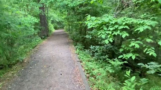 The Spider Lilies at Landsford Canal State Park, in Catawba South Carolina смотреть онлайн