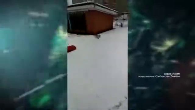 Вся Уфа, 31.01.2020 - Дикие животные вышли к людям смотреть онлайн