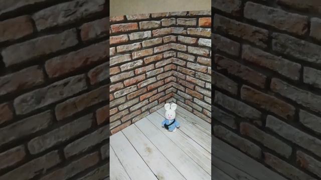 Фотофон угловой для предметной съёмки «50х50 см»