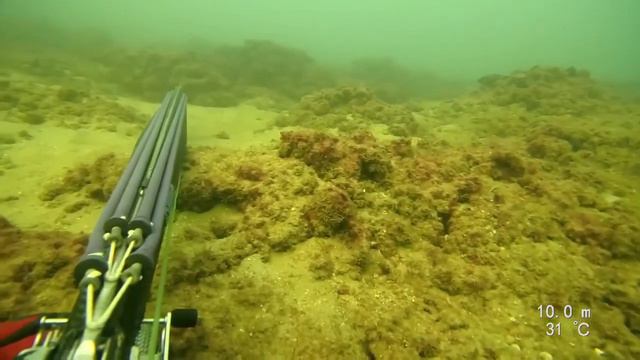 Подводная охота (рыбалка) смотреть онлайн