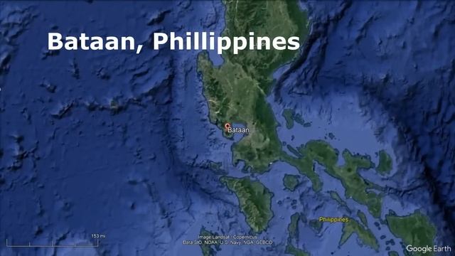 Woman Eaten By Large Tiger Shark in Australia смотреть онлайн