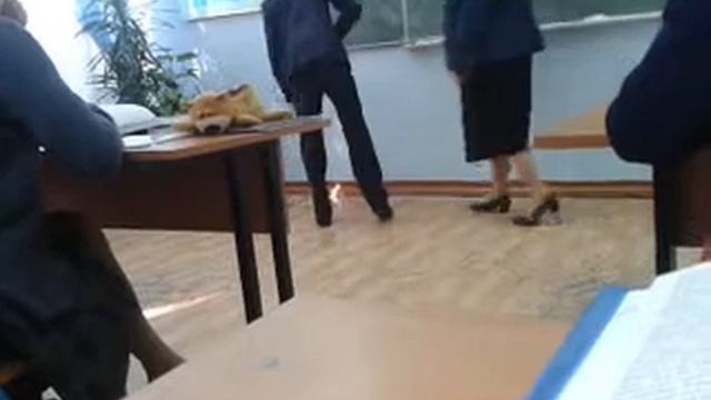 Гусь vs Еленушка смотреть онлайн