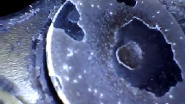 Видеоэндоскоп jProbe NT осмотр камеры сгорания Lada Kalina смотреть онлайн