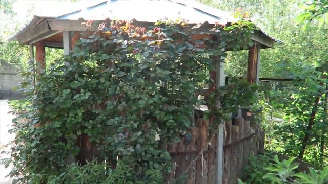 РУС Я НАШЛА ТВОИ НОСКИ / ПИОНЫ В САДУ / МИНУТКА ХОЛОДИЛЬНИК смотреть онлайн