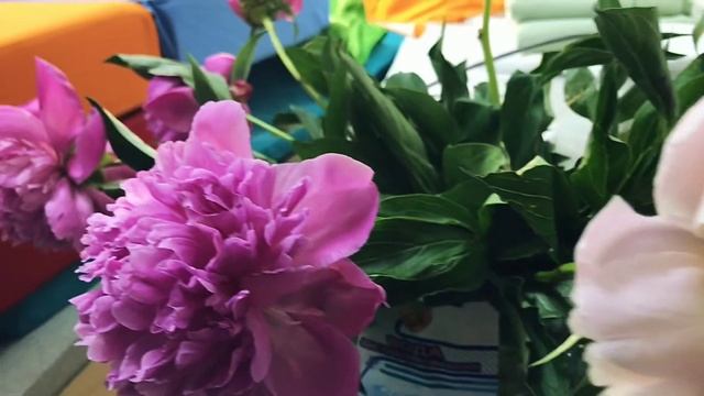 Роща из пуфиков - раскладуфиков смотреть онлайн