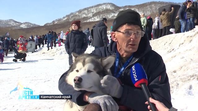 Вейтпуллинг, или силовой экстрим для собак на спортивном празднике Камчатки «Снежный путь» смотреть онлайн