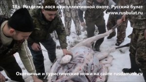18+ Разделка лося на коллективной охоте. Русский булат. Отзывы о ножах. knife hunter