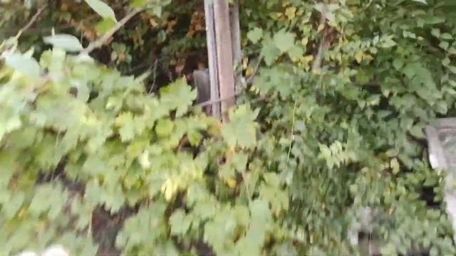 Обзор дачного участка. Дачный участок обзор, осень. Обзор дачи осенью. Дача. Дачный участок в Росси смотреть онлайн