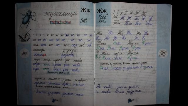 Чудо - прописи (часть 3) смотреть онлайн