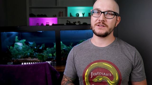 CHEAP and EASY PVC Enclosure Setup For Any Snake Or Lizard! | My Rainbow Boa's New Home смотреть онлайн