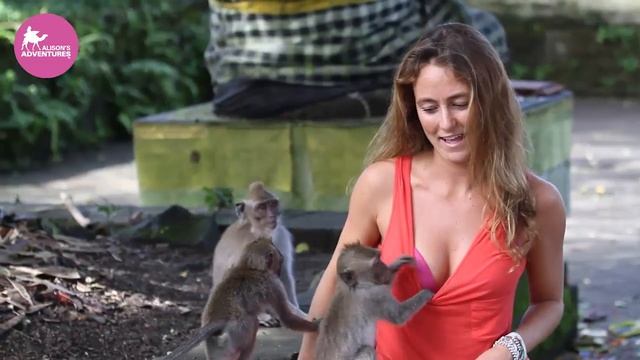 Alison Teal Monkey Business смотреть онлайн