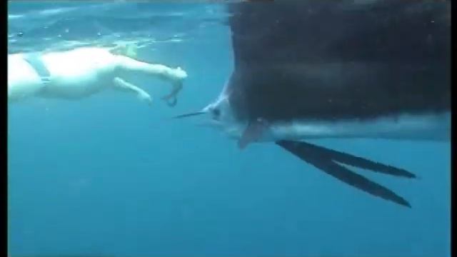 Dive Time PT 3.mp4 смотреть онлайн