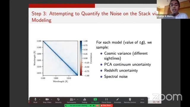 The effective lifetime of the quasar population at z~6 | Karna Morey смотреть онлайн