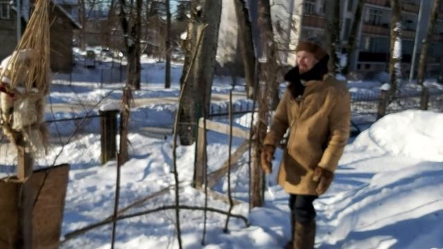 ОВЦЫ. САРАЙ. СЦЕНА