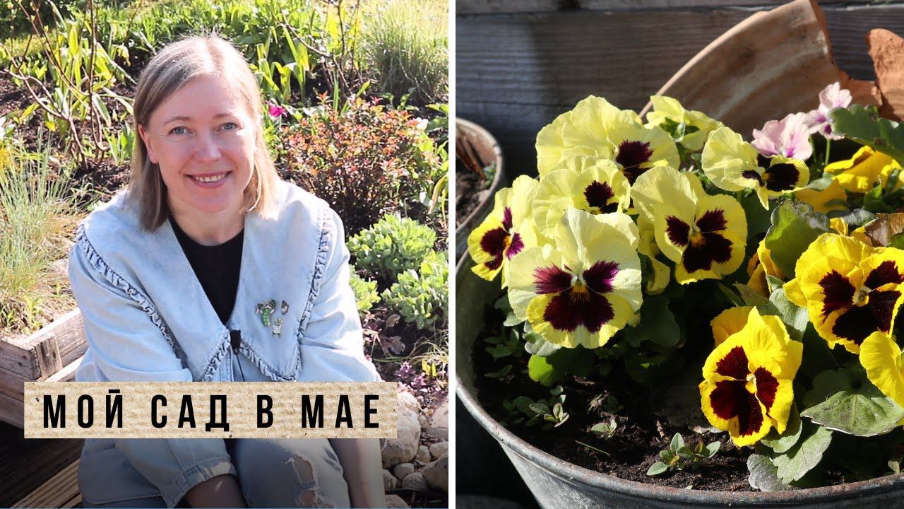 Отдохните, гуляя по майскому саду / Влог 13 смотреть онлайн