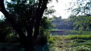 Полив огорода  Мотопомпой  Forte FP20C и  лентой туман.