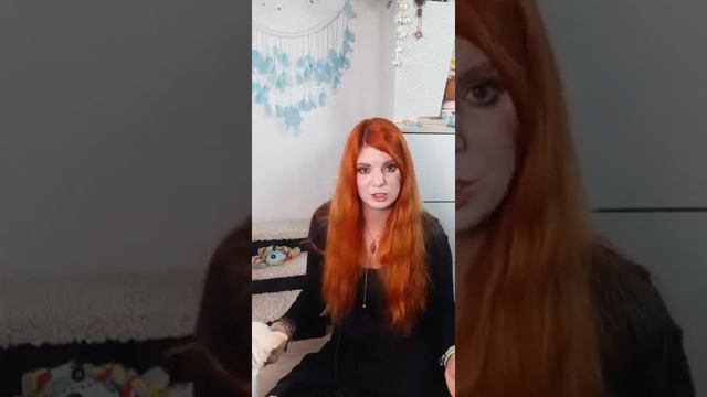 проблемы с туалетом у собак, общий эфир смотреть онлайн