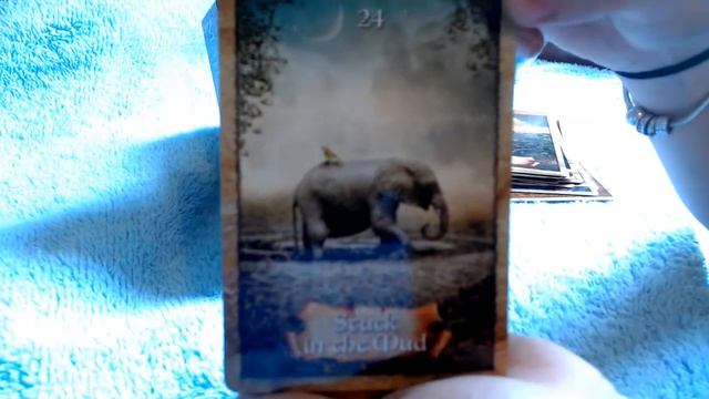 The enchanted Map Oracle deck смотреть онлайн