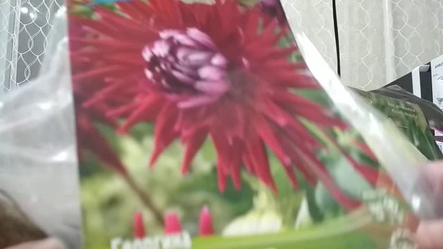 Новые закупки на сезон 2023год смотреть онлайн