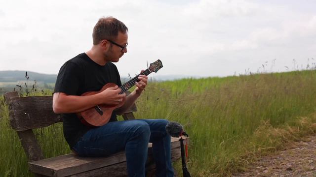Patrick Ranft - Akaka Falls / Hi‘ilawe Ukulele Cover - Jake Shimabukuro смотреть онлайн