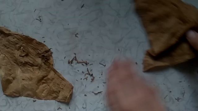 Как крутить сигары легко и просто! смотреть онлайн