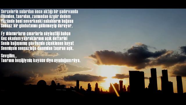 Bruno Coulais - Le Retour Des Grues #21 смотреть онлайн