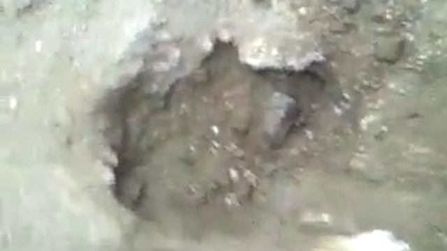 Let's Dig in смотреть онлайн