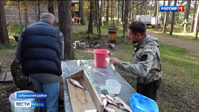 Ученые МГУ познакомили псковских школьников с непростой, но интересной работой ихтиолога смотреть онлайн