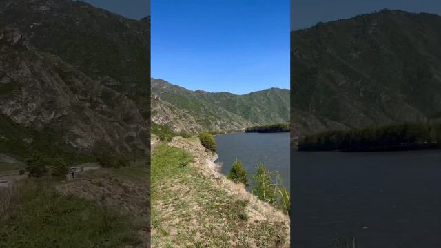 Чемальский район. Горный Алтай. Река Катунь #чемал #катунь #горныйалтай #природаалтая #горыалтая смотреть онлайн