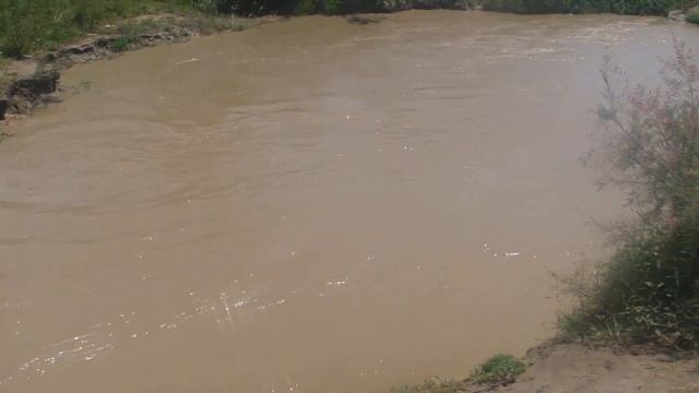 ПОЛЬЗА ПЛАВАНИЯ ДЛЯ ДЕТЕЙ В БАССЕЙНЕИсточник смотреть онлайн