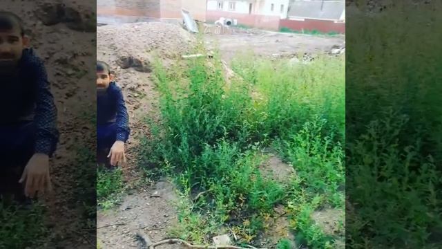 Уфа затон смотреть онлайн