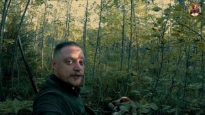 Охота по перу со спаниелем в августе.