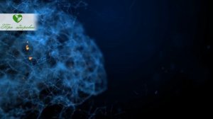 Как принять чеснок, чтобы: разжижать кровь, снижать холестерин, влиять на сердце, давление и...