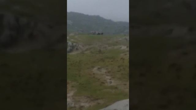 Ургут тумани. Тог смотреть онлайн