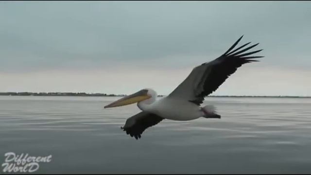 Песня прощения смотреть онлайн