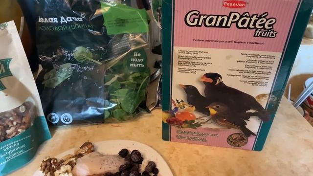 Чем я кормлю свою ворону. Обычная серая ворона, а кормить сложнее, чем попугая.) смотреть онлайн