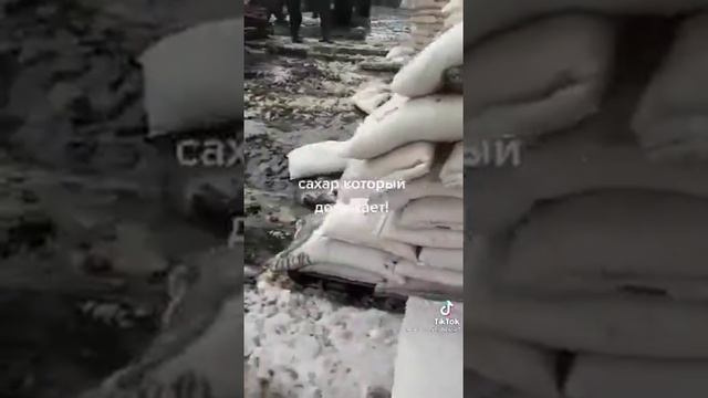 САХАР, КОТОРЫЙ ДОРОЖАЕТ. смотреть онлайн