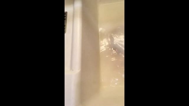 Порошок мистик и каменная раковина. смотреть онлайн
